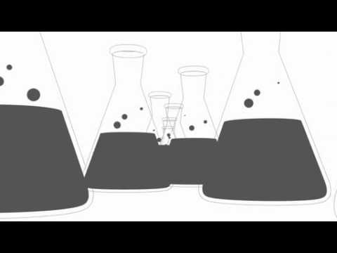 ネクトフリノイデス・トルニエリについて詳しく解説