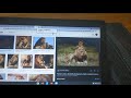 The Alphabet Animals