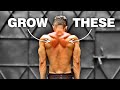 How to Build Aesthetic Traps | My workout for wide shoulders