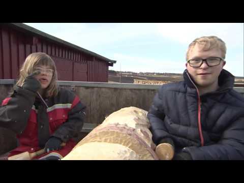 Grobunn på Norge Rundt