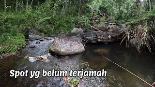 Download lagu mountain river fishing adventure mp3