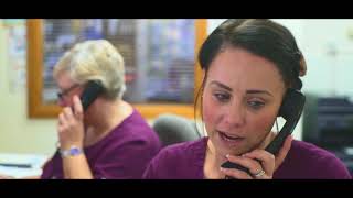 3 Best Vets in Leeds, UK - Expert Recommendations