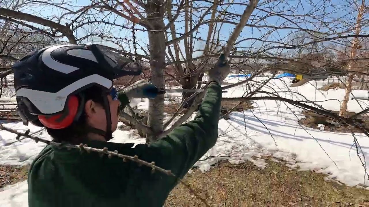 Thinning, Reduction, and Heading Cuts