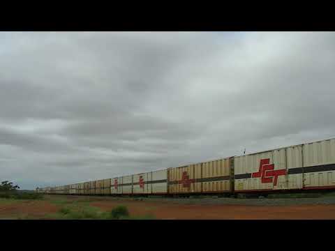 LDP002 and LDP004 1GP1