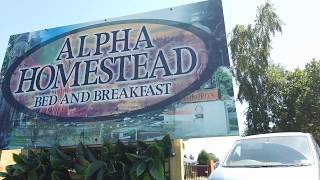 Alpha Homestead - Bed and Breakfast