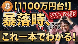 1100万円台！】ビットコインが暴落してる時に何をやればいいのか？これ一本でわかる！今後はどうなる？