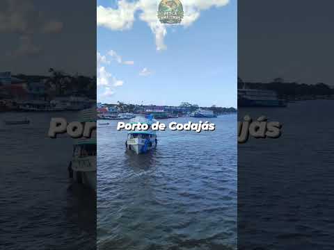 Você conhece o porto de Codajás ??  #amazonas #viral #discovery #codajas #barco
