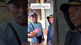 Download lagu DEAL 50 JUTA🔥BELANJA SAPI JUMBO MODAL BESAR, UNTUNG JUGA WAJIB BESAR #seru #heboh #nawar #sapi #fyp mp3