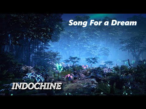 Song for a dream - INDOCHINE - clip 4k - Vaucluse