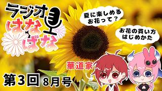 【いけばな雑談】暑い夏を乗り切れ！夏に楽しむお花スペシャル？【ラジオはなばな　第3回】