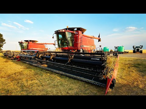 🔴Live! Last Day Of Harvest 2018! Chick Peas - Welker Farms Inc