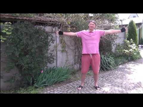 Pałacowa Stajnia Rowerowa