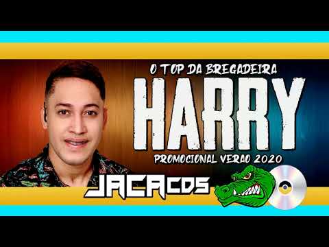 HARRY O TOP DA BREGADEIRA - CD VERÃO 2020 EP 7 MUSICAS NOVAS PRA PAREDAO 2K20