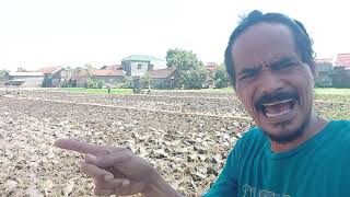 Download lagu THE RICHEST PERSON MAT ORDUL mp3 Download lagu THE RICHEST PERSON MAT ORDUL mp3