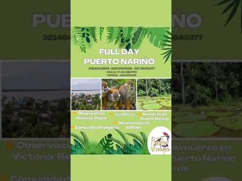 🌿 ¡Vive una experiencia inolvidable en el corazón del Amazonas! 🌿✨ FULL DAY – PUERTO NARIÑO ✨