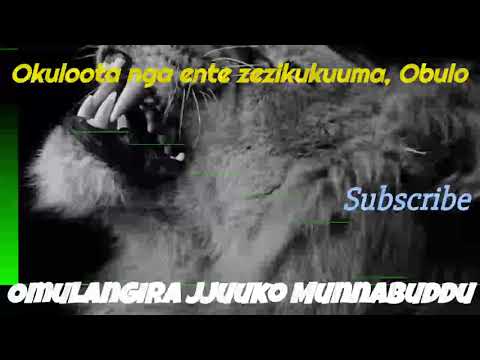 Ono yaloose ente zezikukuuma, n'obulo - Omulangira Jjuuko Munnabuddu