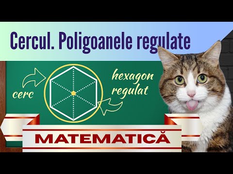Ne învârtim în jurul cozii? CERCUL | Clasa a 7-a