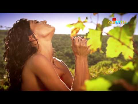 Ana Rucner - "Destiny" - Beethoven's 5th symphony