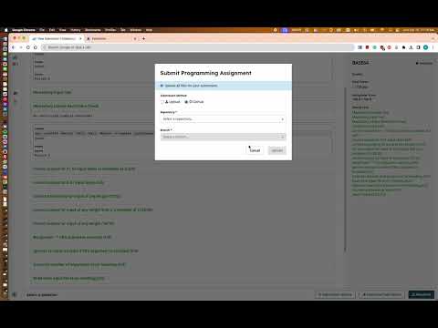 Item video thumbnail