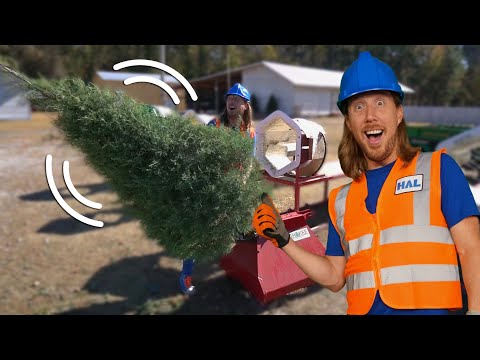 Explore a Christmas Tree Farm with Handyman Hal | Pick the perfect Christmas Tree | On the Farm