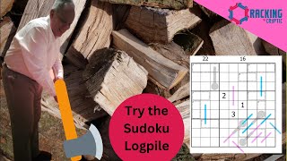 Putting your Back into Solving Sudoku