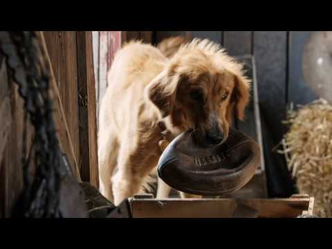 Mega64 Podcast 425 - A Dog's Purpose