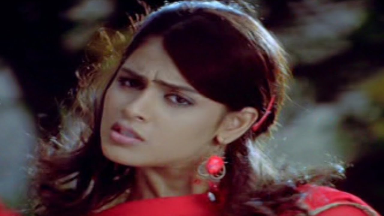 Kallu Kallatho Lyrics  | Mister Medhavi | Genelia, Raja | Chakri