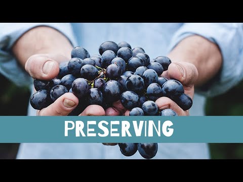 The Ultimate Guide: Preserve Grapes in 5 Quick and Simple Steps!