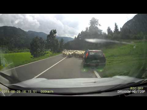 Ziano di Fiemme 29 Agosto 2014