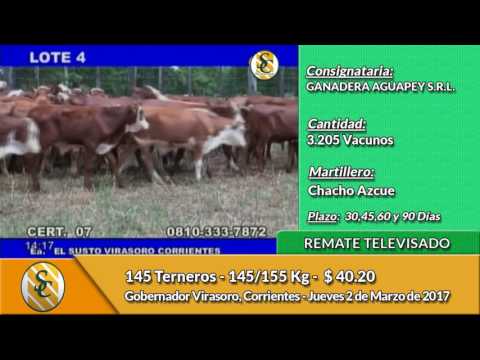 02-03-17 - Ventas Remate Televisado Ganadera Aguapey - Corrientes