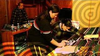 The Breeders - Freed Pig