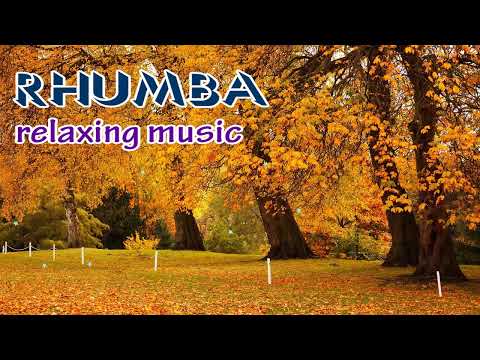 Rumba relaxing melody, beautiful melodies about life and people, music that heals your soul