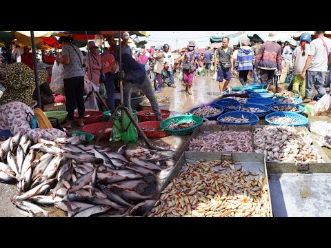 Amazing Site Distribute Rural Fish @Kilo9 - Plenty Various Alive Fish, Seafood & More Selling Here