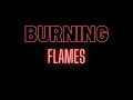 Burning Flames Live 2012