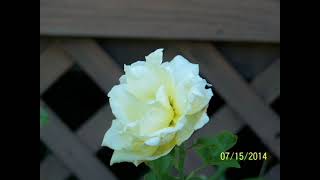 Yesterday&#39;s Memories