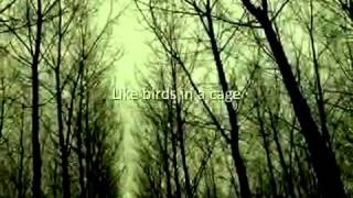 Yusuf Islam  God is the Light.flv