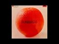 Sunbirds - Ocean Song (1972)