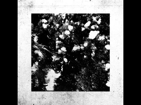 MNMT Premiere : CTAFAD - Chiaroscuro