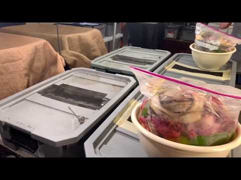 Red Wigglers, Blue Worms, And European Nightcrawlers.