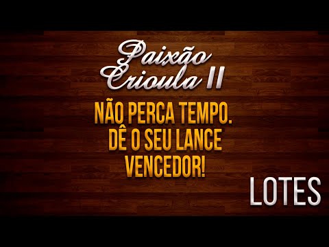 ✔ Lote 8 - Paixão Crioula II 🐴
