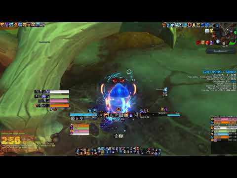 24 Plaguefall NO HEALER Fire Mage POV