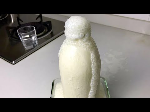 Doogh/Iranian natural yogurt soda & its sourdough starter E49   Doogh/天然酸奶苏打水及其酸面包酵种
