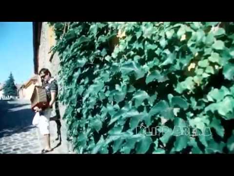 Szatmári feat. Jucus VideoMix 2013 -  mixed by Boomer