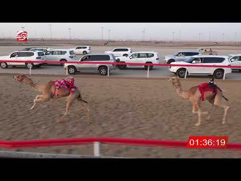  ش 6 (رايق) لـ غدير بن عوض النيادي 2:14 , شارة الصندوق 2026/03/14 فطامين الوثبة