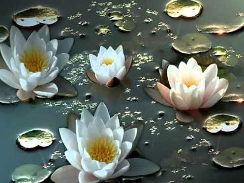 Florent Pagny natacha St Pierre   là bas