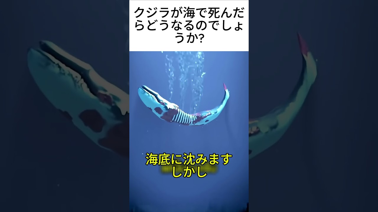 クジラが海で死んだらどうなるのでしょうか?