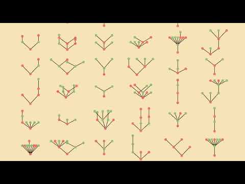 TREE(3)- the number that no human can comprehend. Could this be what infinity is?