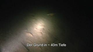 preview picture of video 'Tauchen im Bodensee - Überlingen Parkhaus Post'