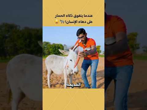 عندما يتفوق ذكاء الحمار على دهاء الإنسان!🫏😄 #اكسبلور #حيوانات #animals