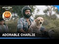 Charlie Is The Cutest🥹🥹 777 Charlie Primevideo